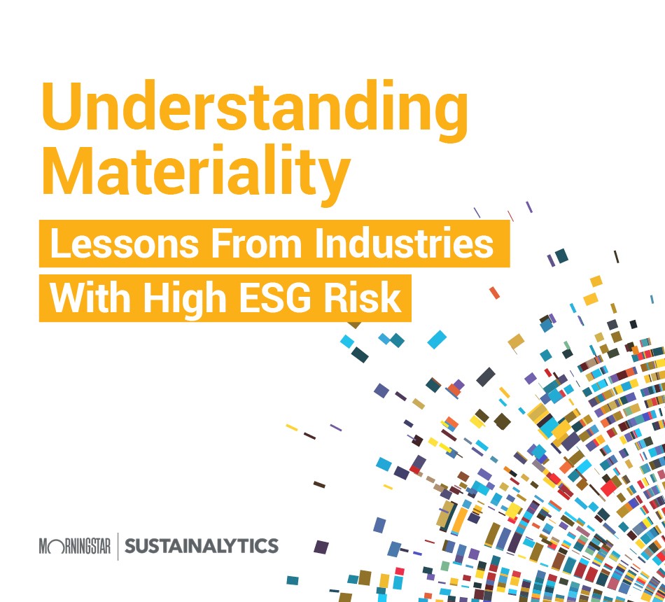 Understanding Materiality Lessons From Industries With High ESG Risk